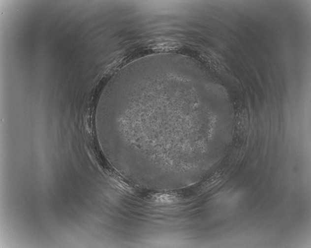 X0000061760755200512161743