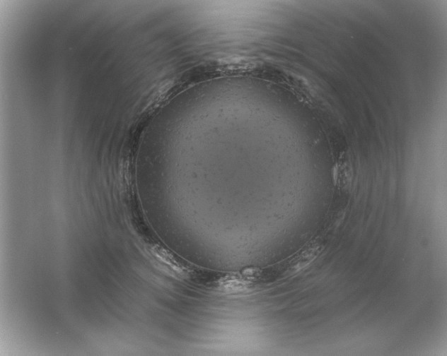 X0000061760756200512161743