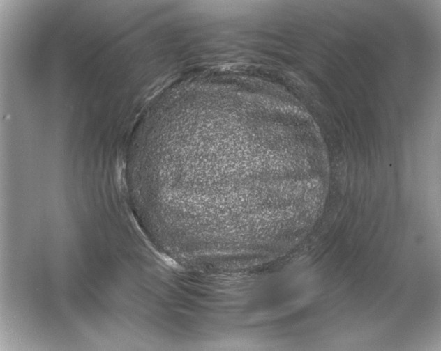 X0000061760757200512161743