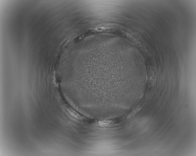 X0000061760758200512161743