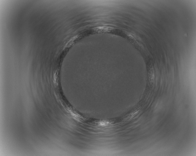 X0000061760759200512161743