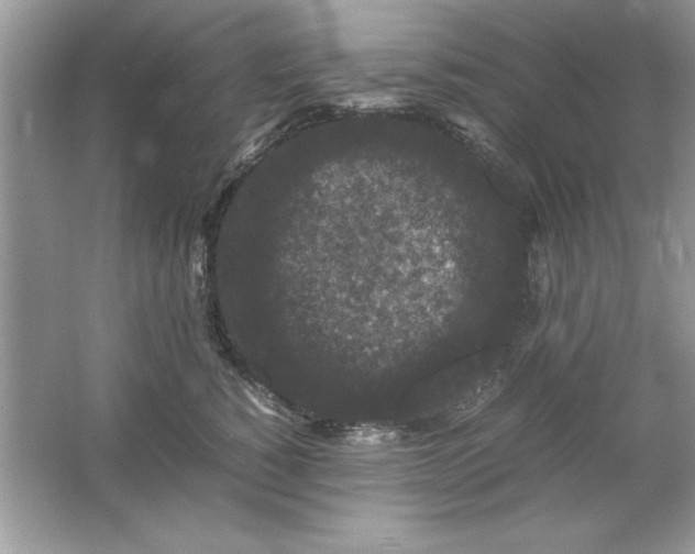 X0000061760760200512161743