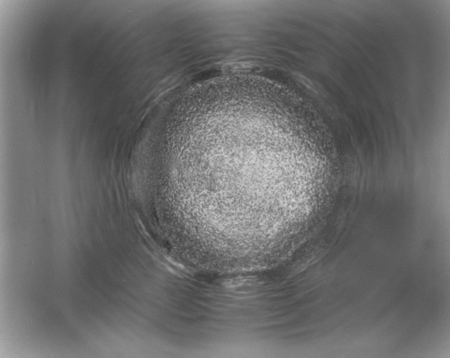 X0000061760761200512161743