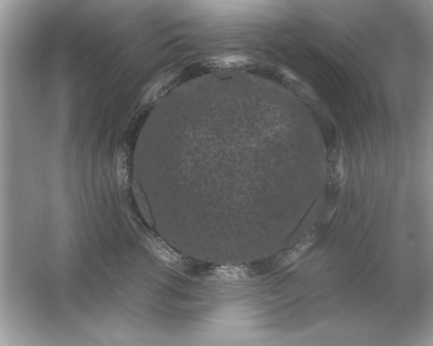 X0000061760762200512161743