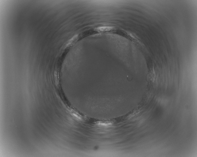 X0000061760763200512161743