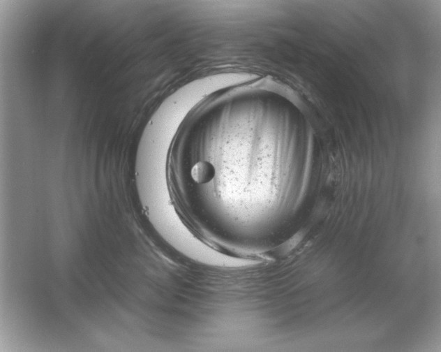 X0000061760764200512161743