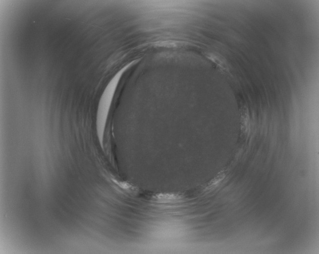 X0000061760766200512161743