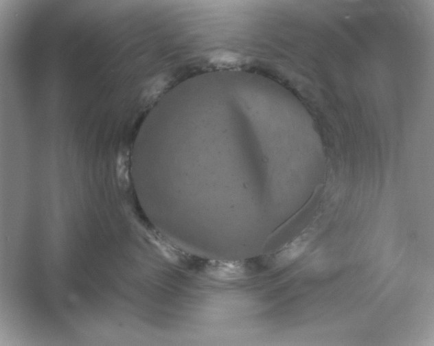 X0000061760768200512161743