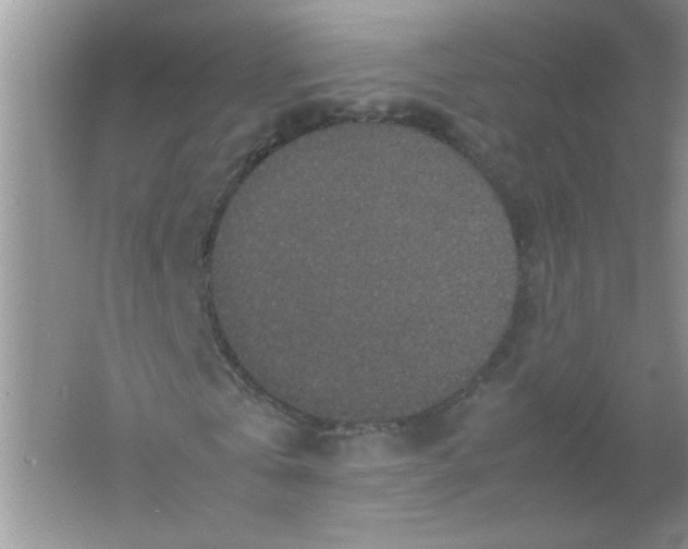 X0000061760769200512161742