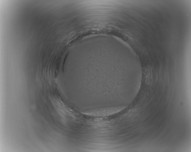 X0000061760770200512161742