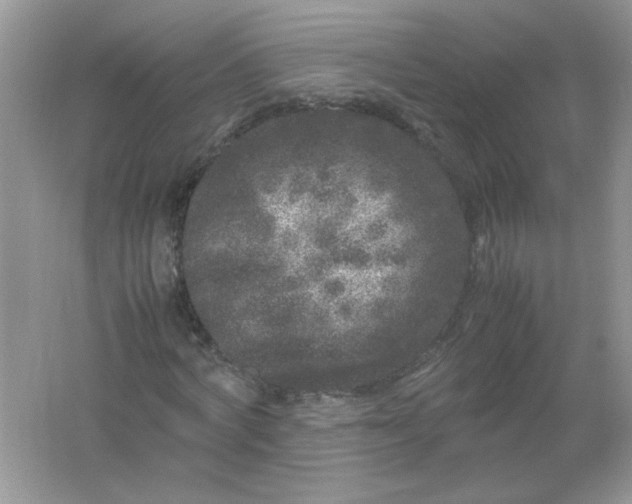 X0000061760772200512161742