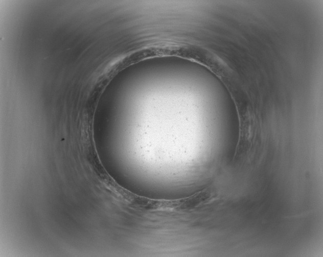 X0000061760773200512161742