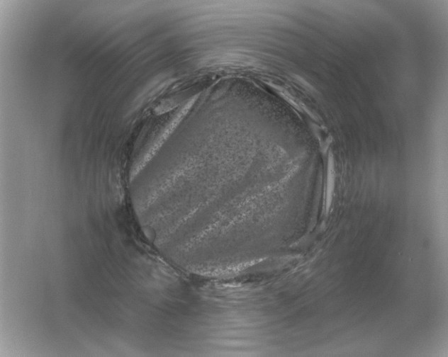 X0000061760774200512161742