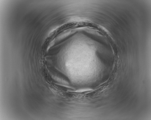 X0000061760775200512161742