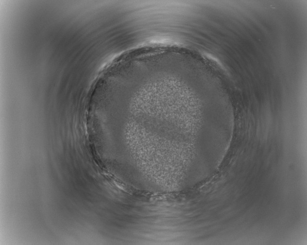 X0000061760776200512161742