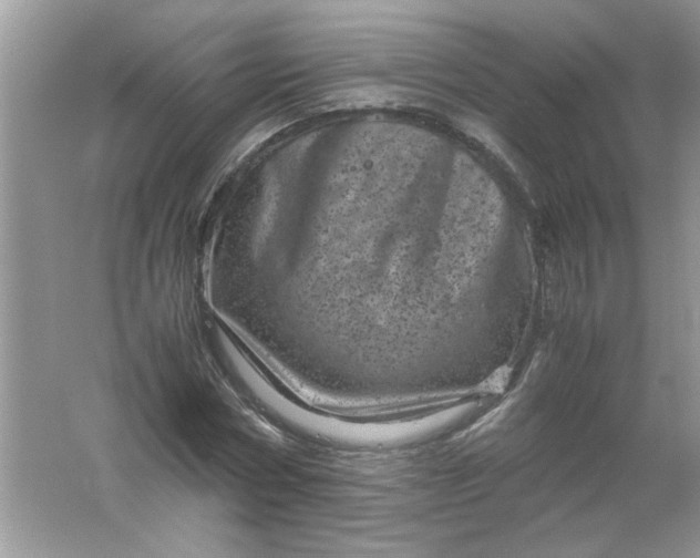 X0000061760778200512161742