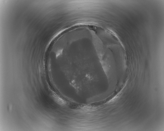 X0000061760779200512161742