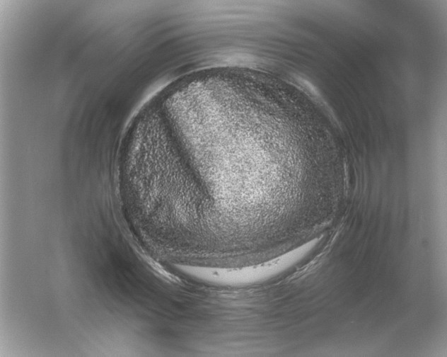 X0000061760780200512161742