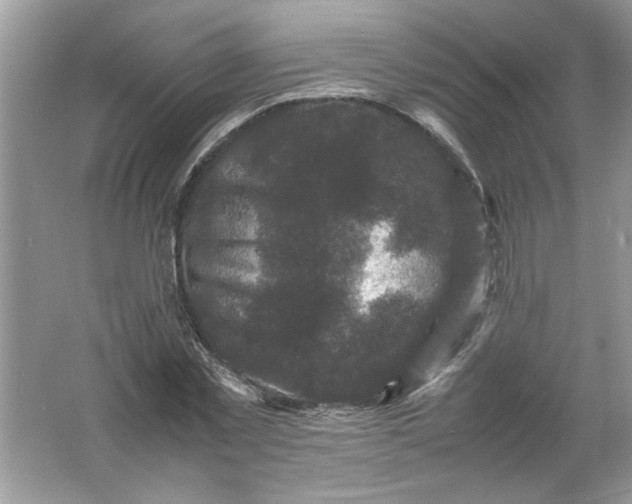 X0000061760781200512161742