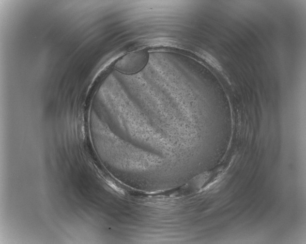 X0000061760782200512161742