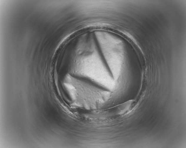 X0000061760783200512161742