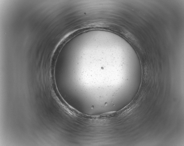 X0000061760784200512161742