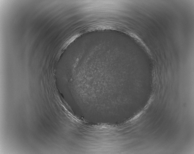 X0000061760785200512161742