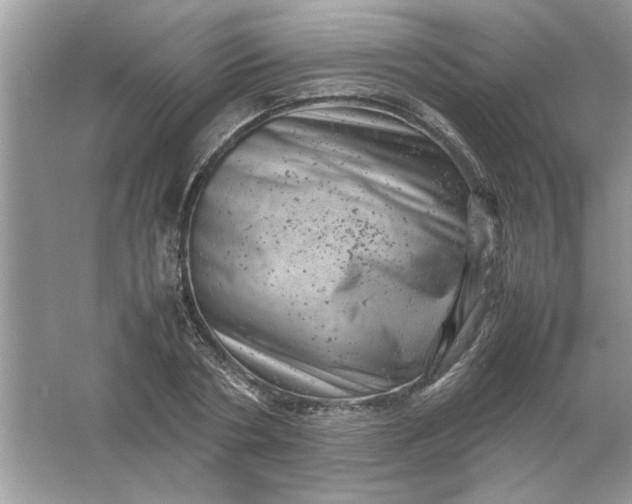 X0000061760786200512161742