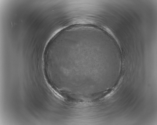 X0000061760787200512161742