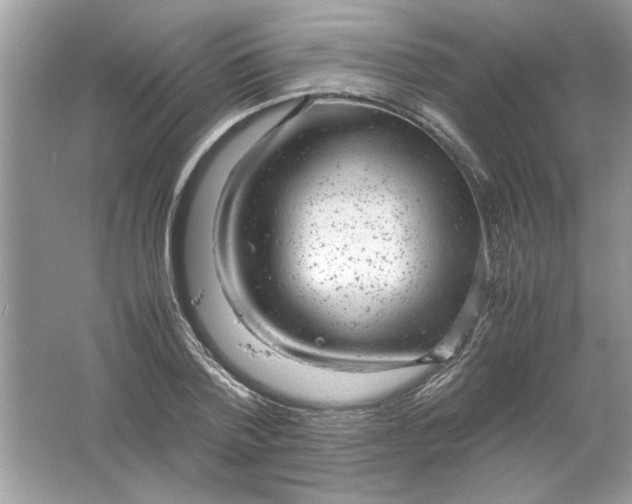 X0000061760788200512161742