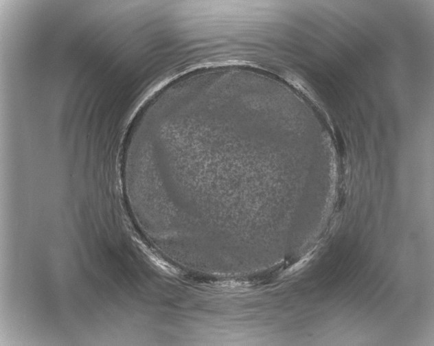 X0000061760789200512161742