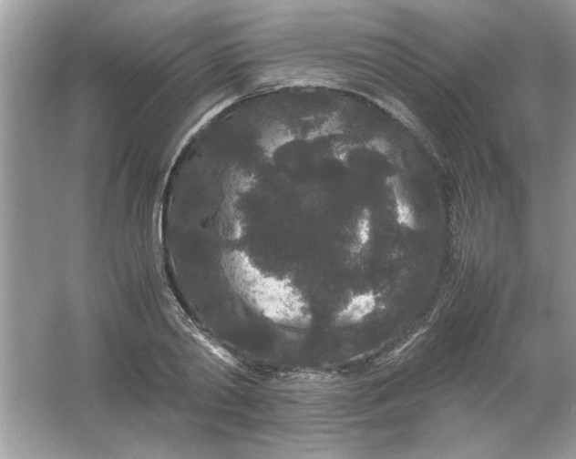 X0000061760790200512161742