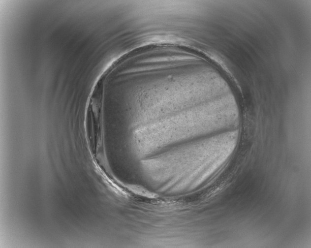 X0000061760791200512161742