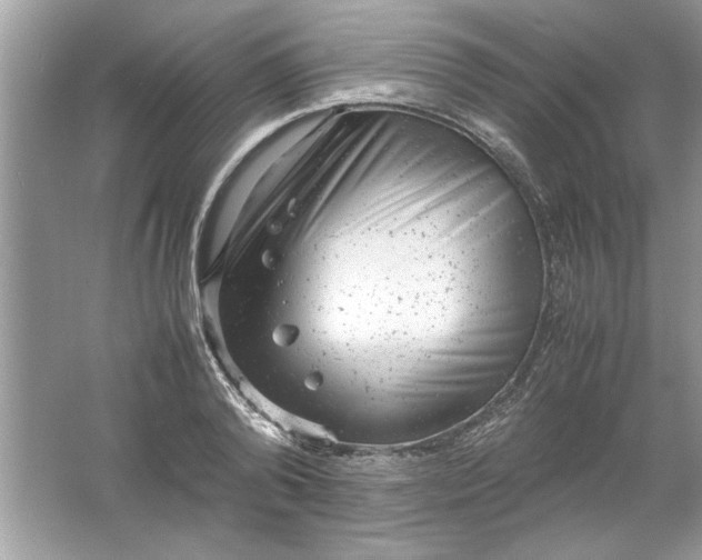 X0000061760792200512161742