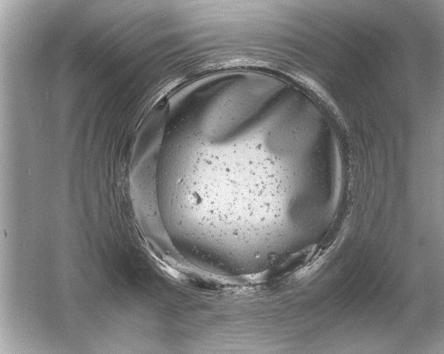 X0000061760793200512161742