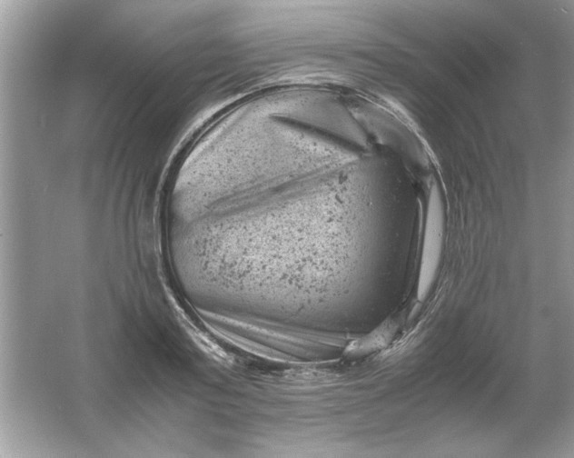 X0000061760795200512161742