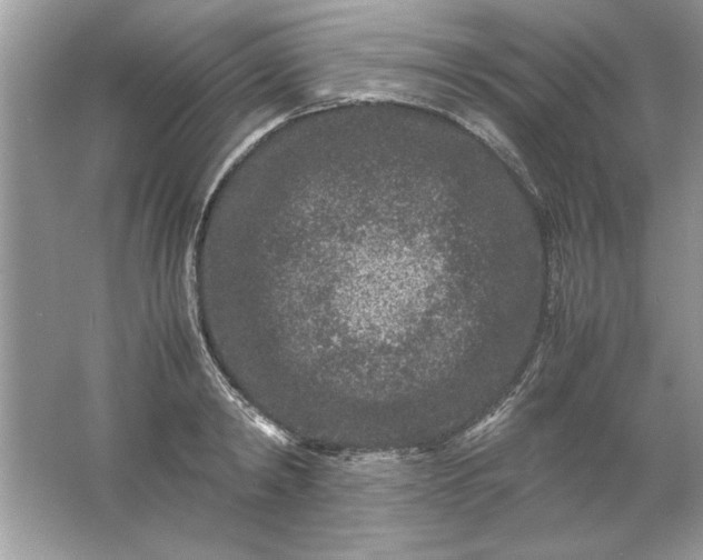 X0000061760798200512161742