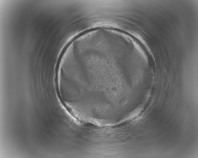 X0000061760799200512161742