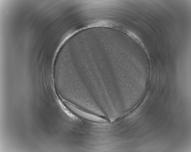 X0000061760800200512161742