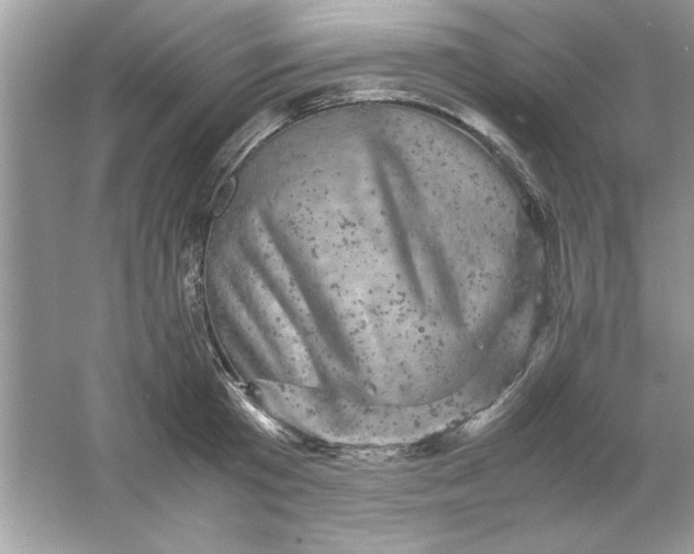 X0000061760801200512161742