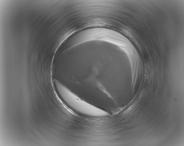 X0000061760802200512161742