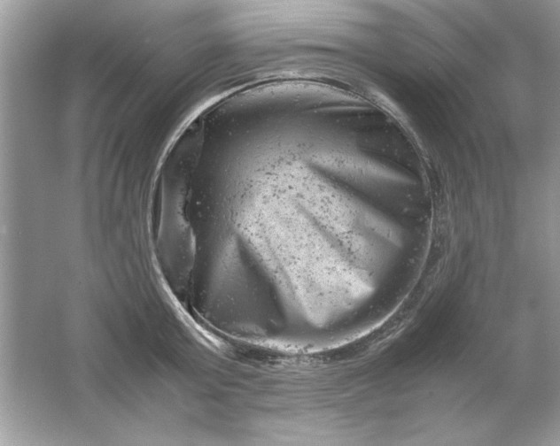 X0000061760803200512161742