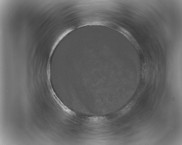 X0000061760804200512161742