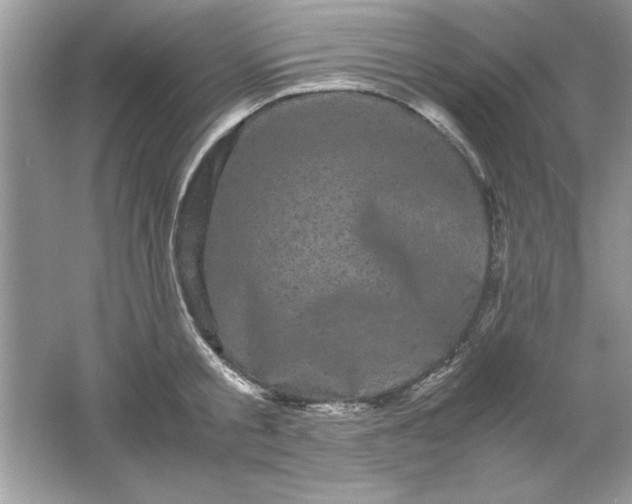 X0000061760805200512161742