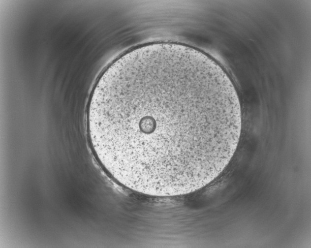 X0000061760807200512161742