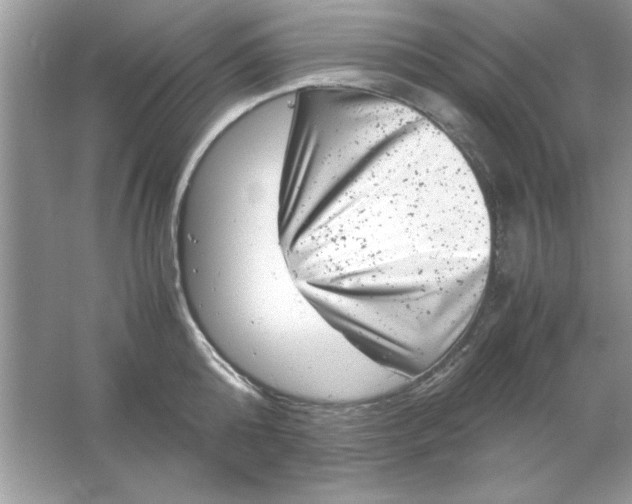 X0000061760808200512161742