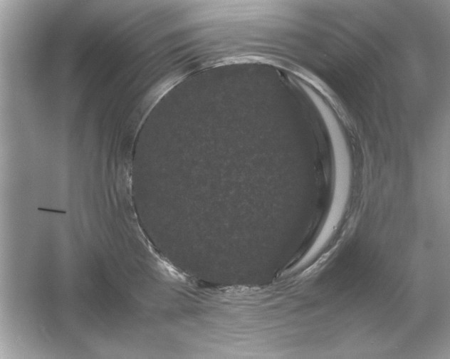 X0000061760809200512161742