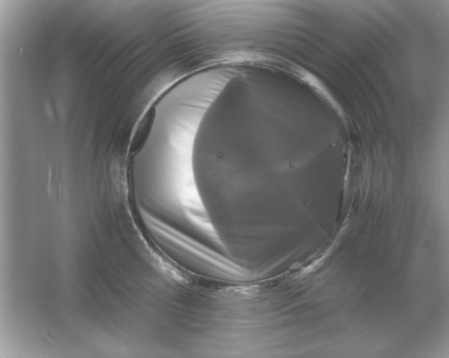 X0000061760810200512161742