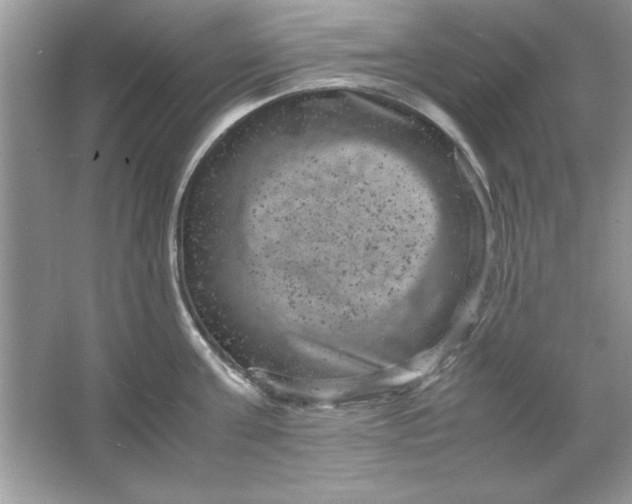 X0000061760811200512161742