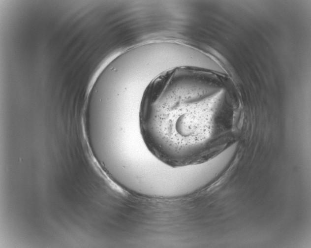 X0000061760812200512161742